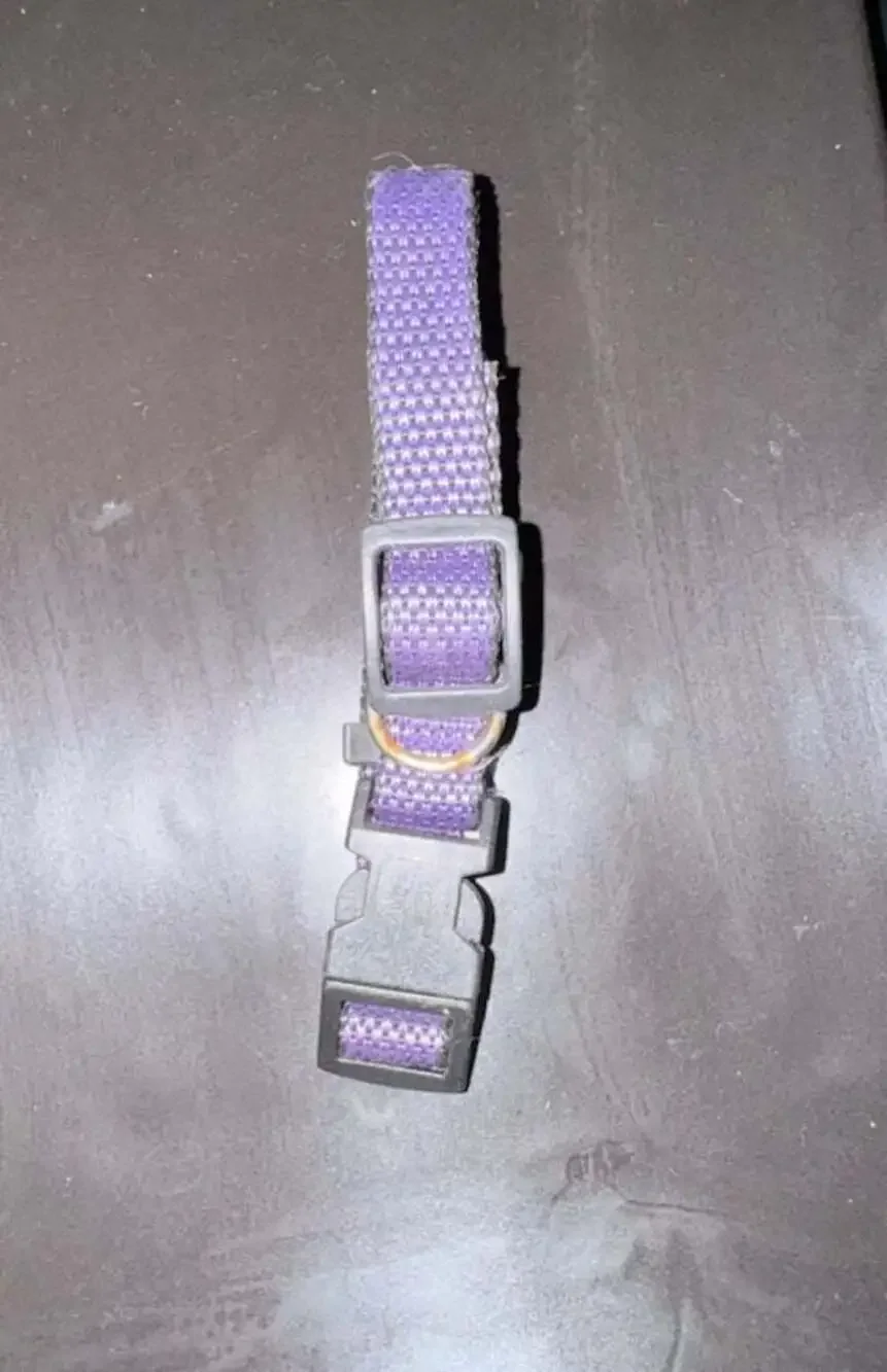 Top Paw Adjustable Purple Nylon Dog Collar rust @ metal ring